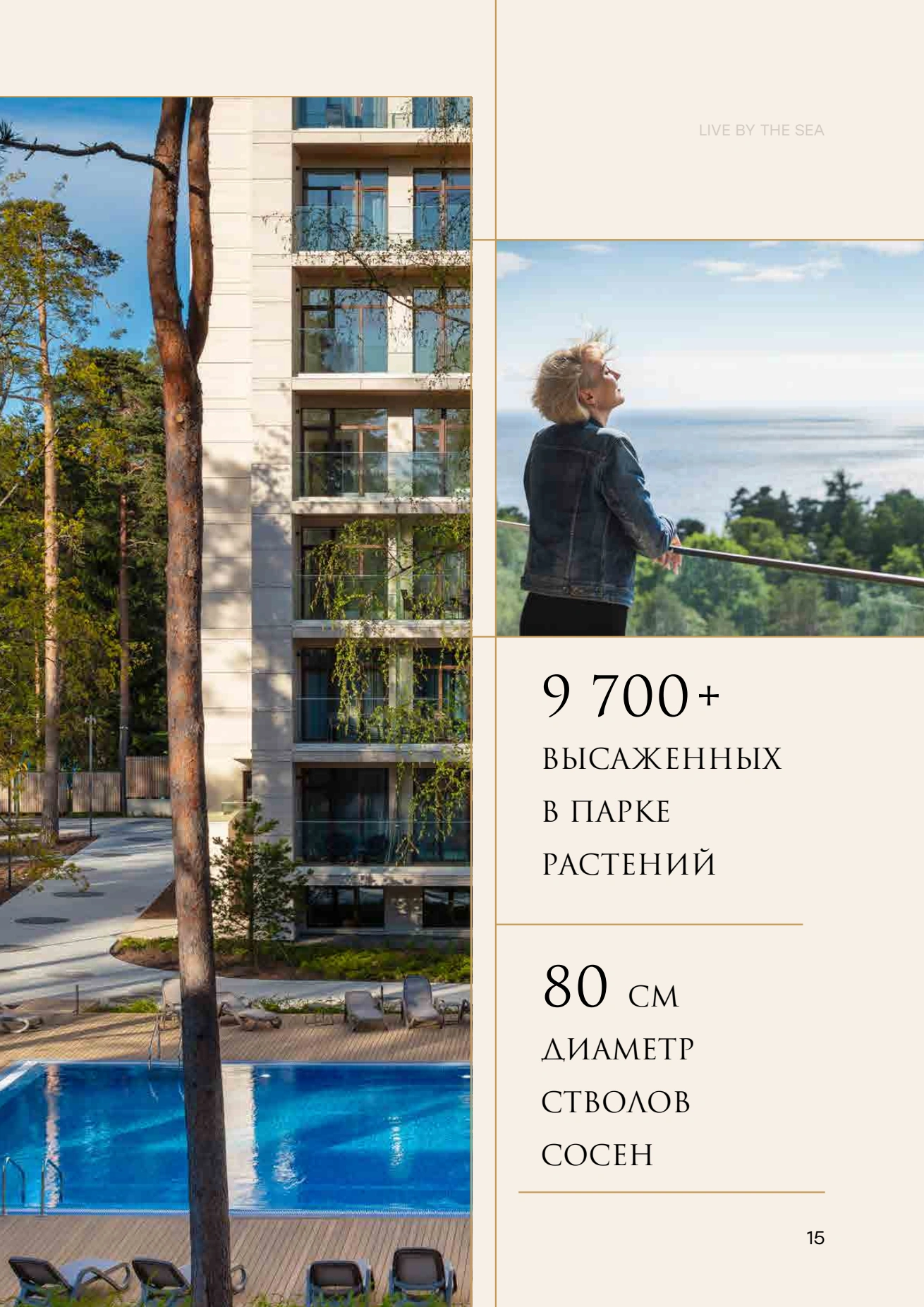 Буклет, страница 23