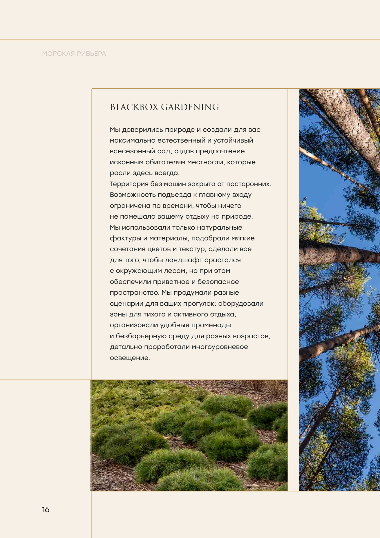 Буклет, страница 24