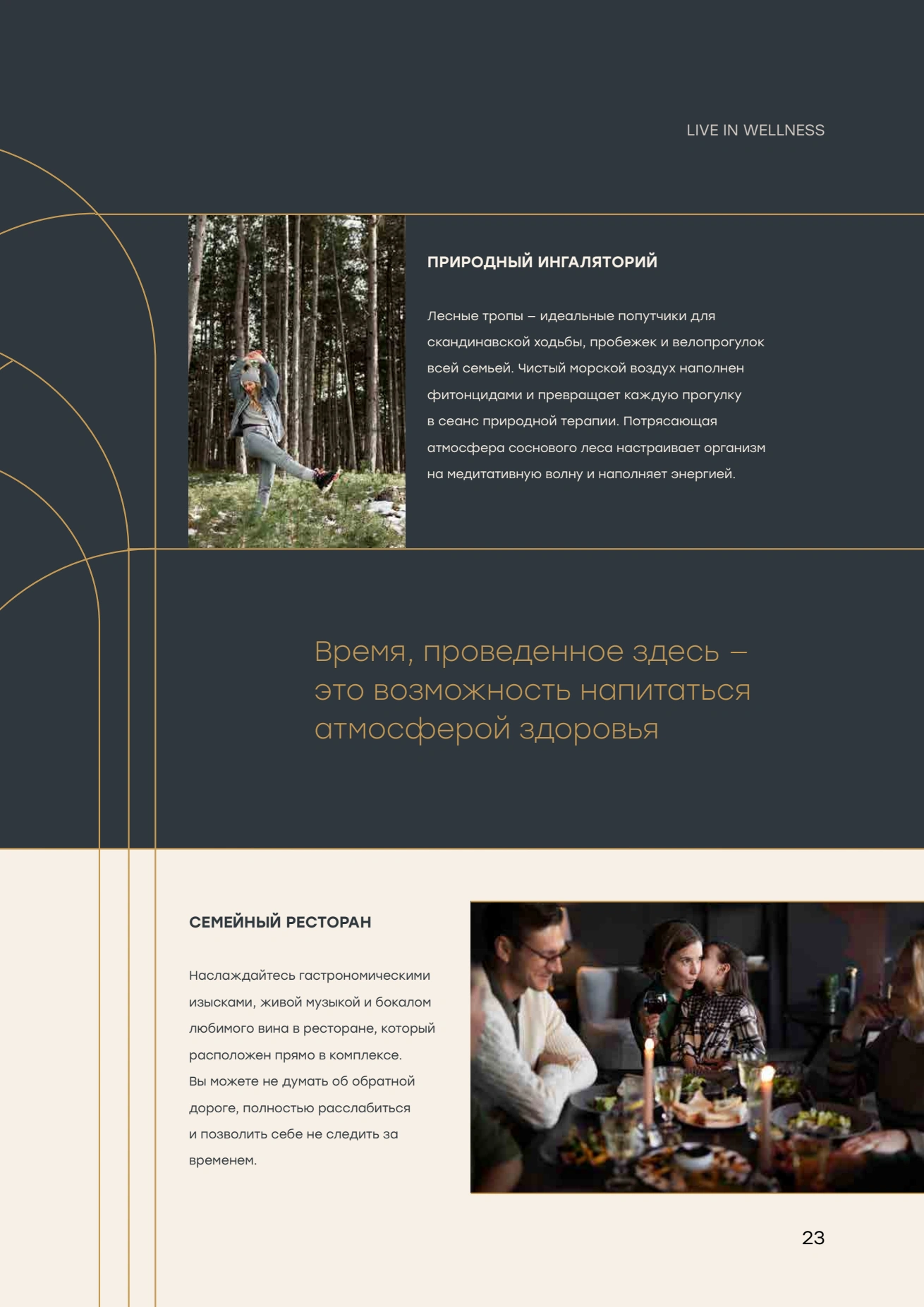 Буклет, страница 31
